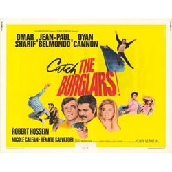 The burglars.jpg